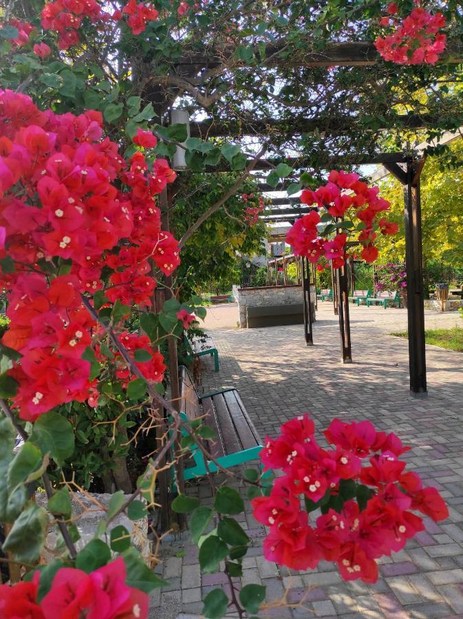 Villa Anthemida Chania Agia  Екстериор снимка