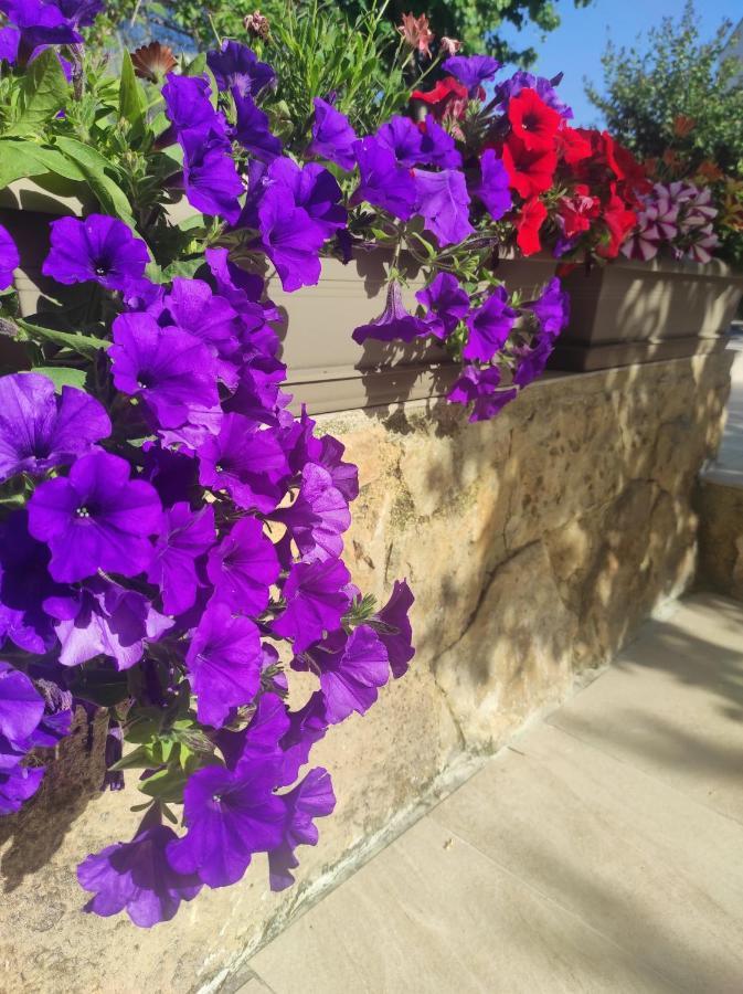 Villa Anthemida Chania Agia  Екстериор снимка